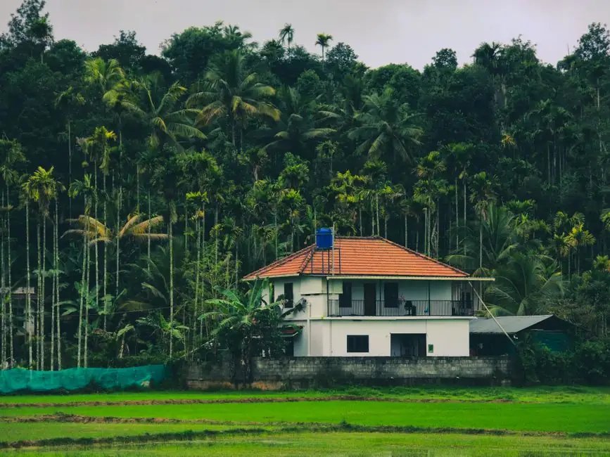 A serene tropical house with a red roof amidst lush palm trees and greenery.