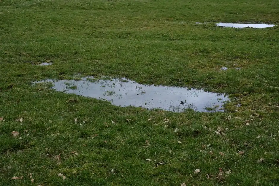 Tranquil view of a lush grassland with fresh rain puddles in Greystoke, England.